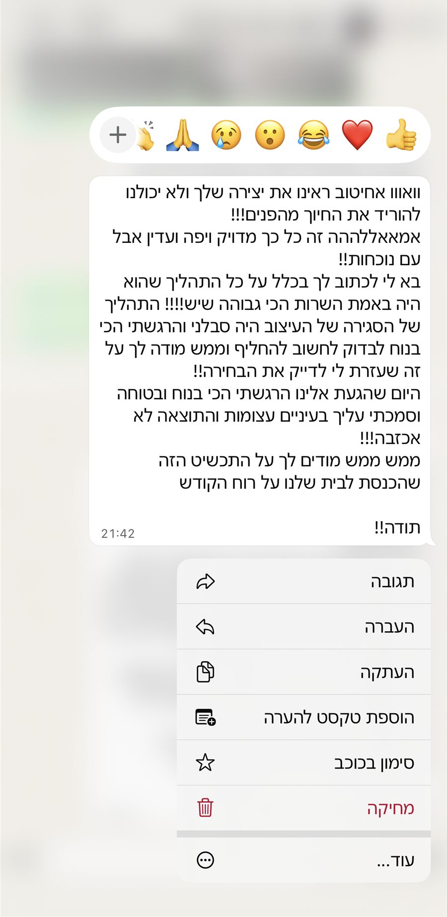 המלצת לקוח: ראינו את היצירה ולא יכולנו להוריד את החיוך מהפנים, השירות הכי גבוה שיש